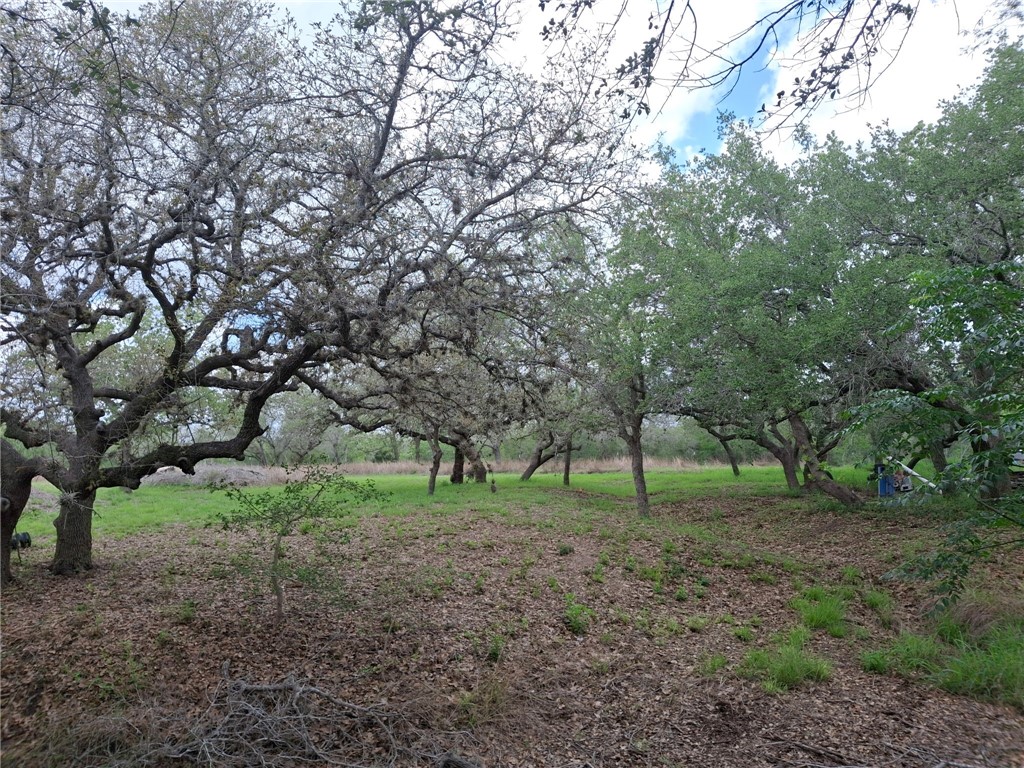 9213 Pvt 6005 Road Sinton, TX 78387 - Photo 18 of 24