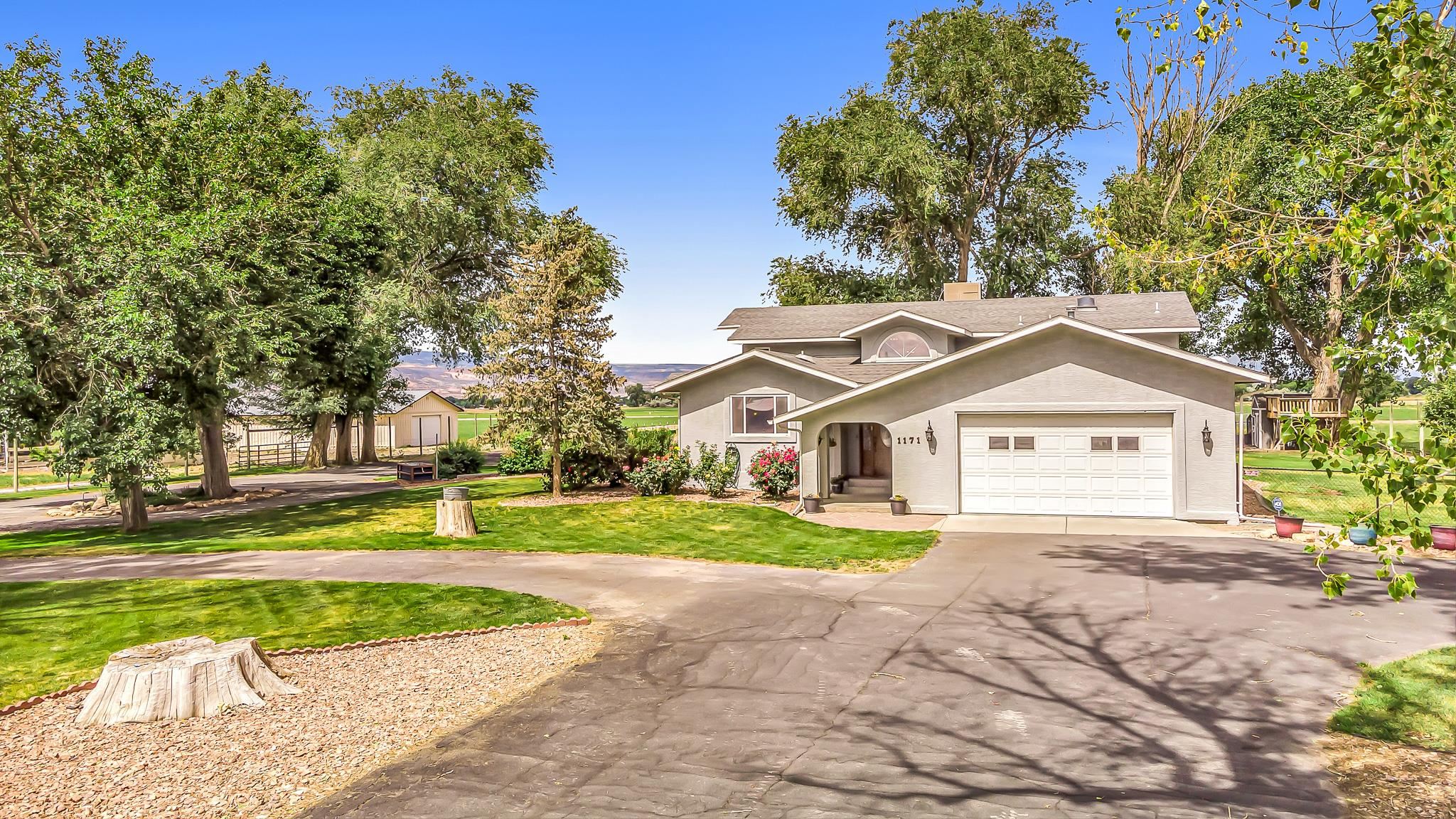 a front view of a house with a yard and trees
