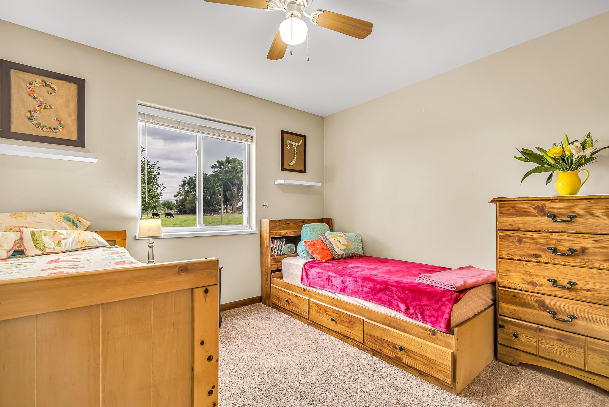 1171 20 Road Fruita, CO 81521 - Photo 17 of 42 a bedroom with a bed and a window