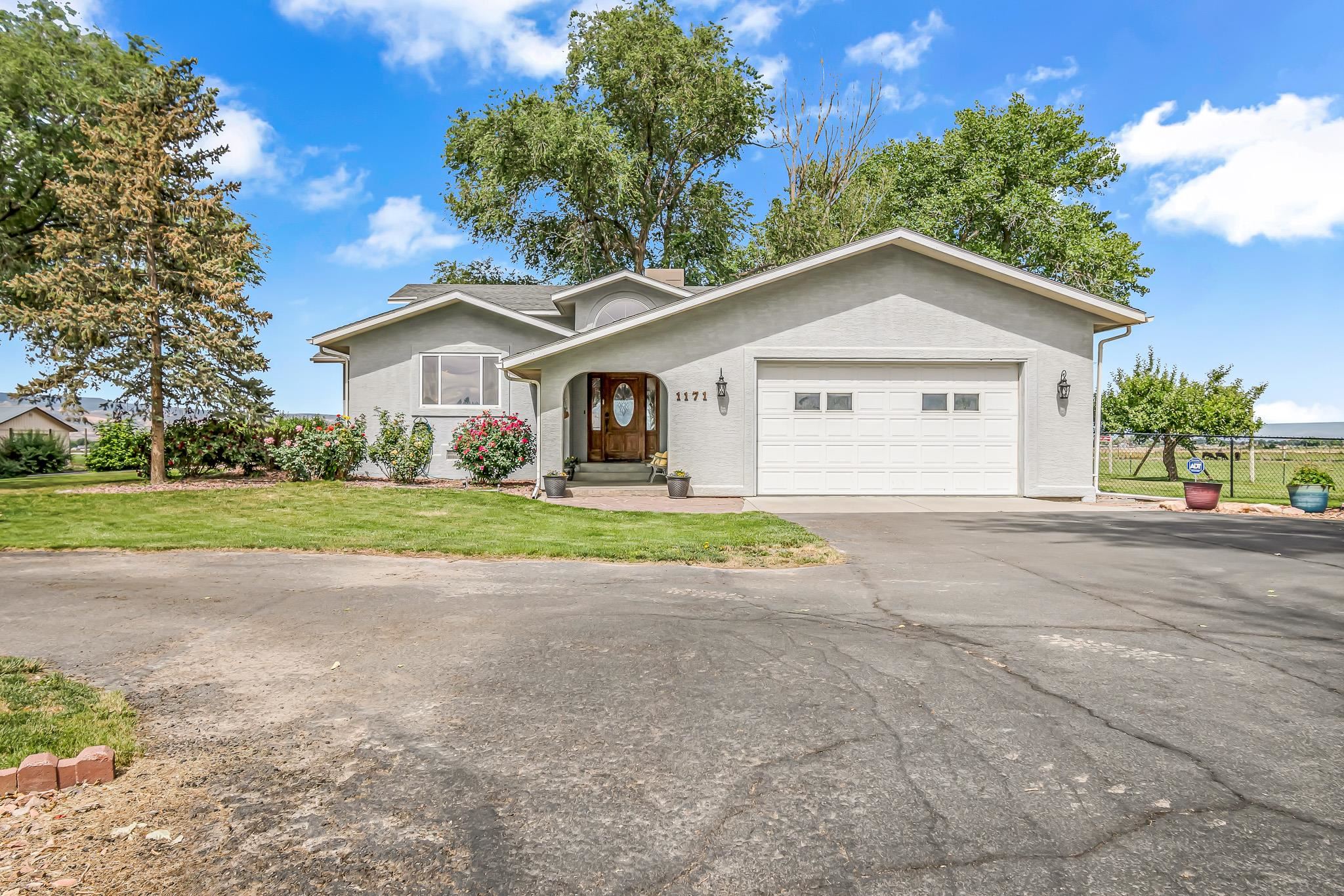 1171 20 Road Fruita, CO 81521 - Photo 2 of 42