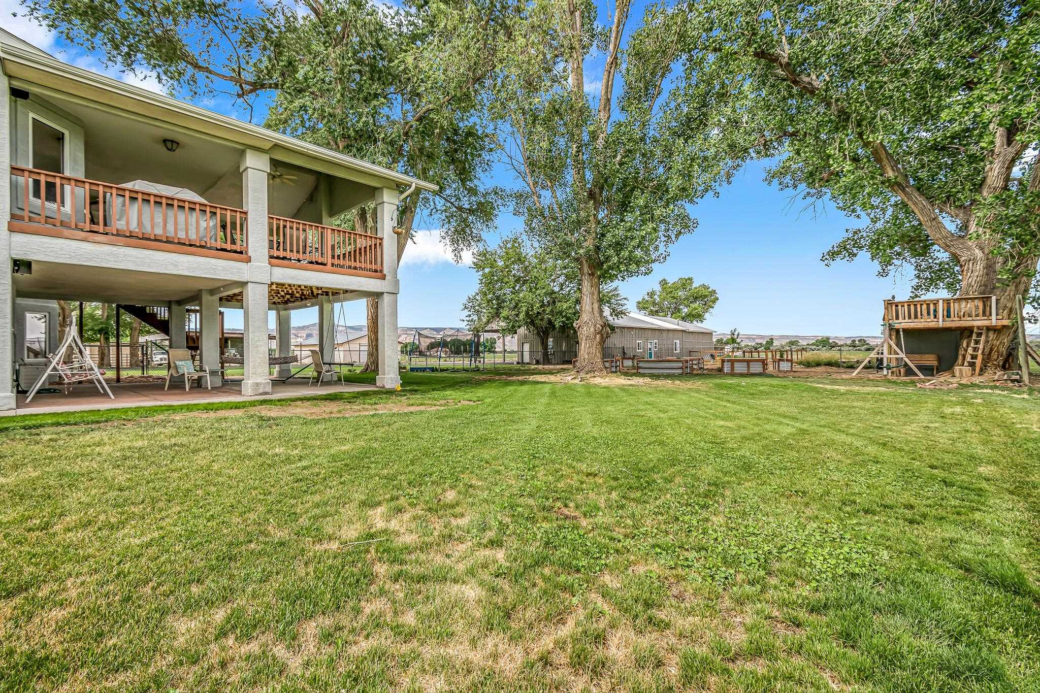 1171 20 Road Fruita, CO 81521 - Photo 36 of 42