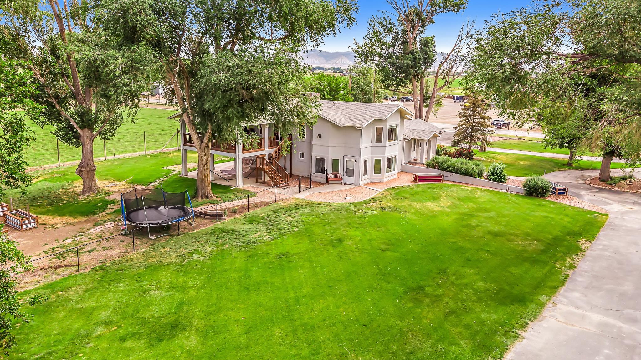 1171 20 Road Fruita, CO 81521 - Photo 37 of 42 a view of a patio with table and chairs and a large tree