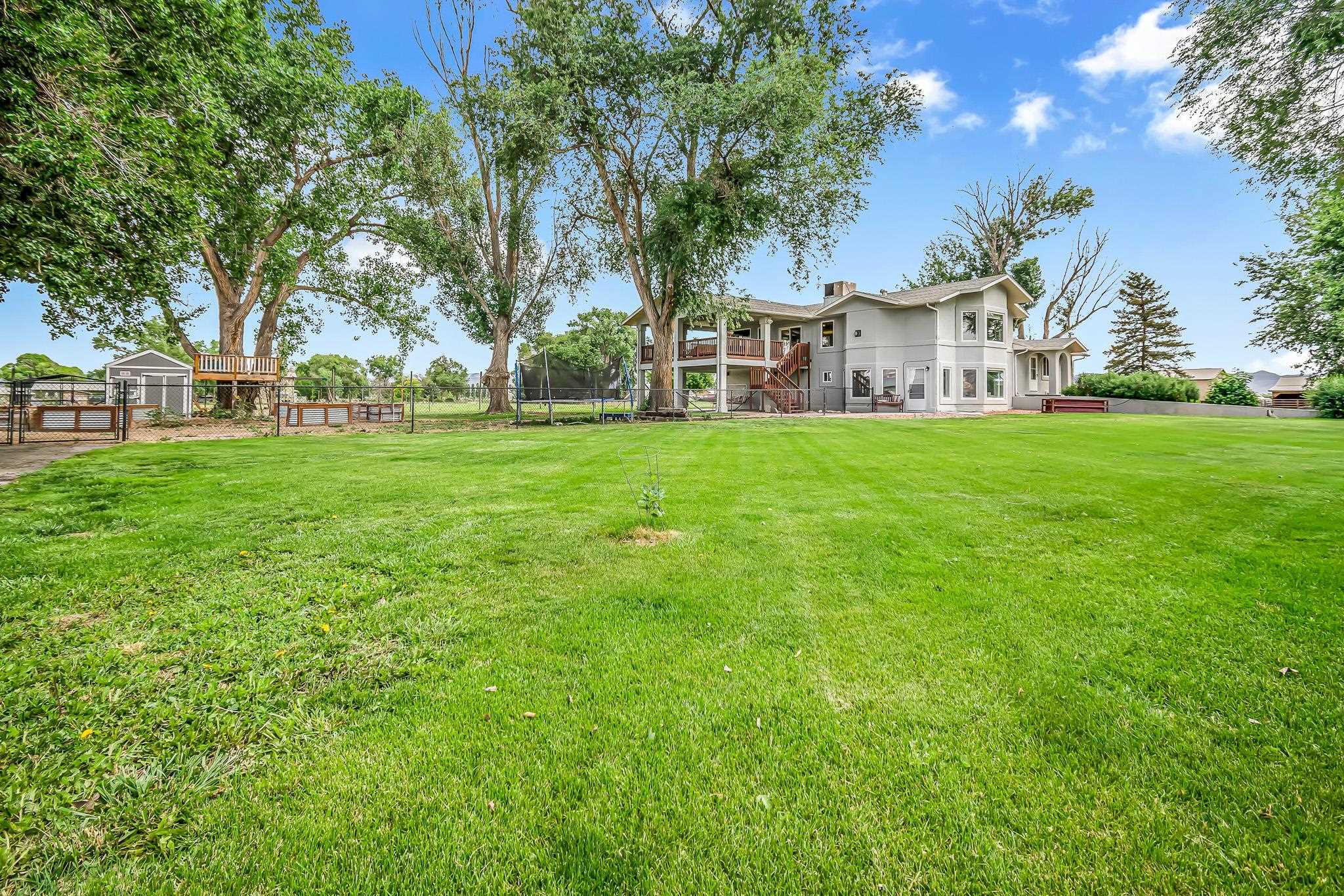1171 20 Road Fruita, CO 81521 - Photo 41 of 42 a view of yard with house and trees in the background