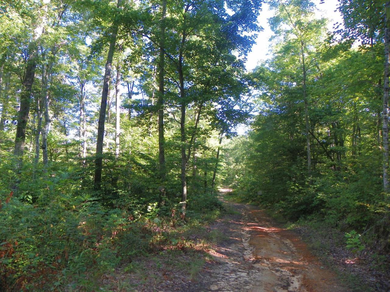 43 Cave Springs Road Nancy, KY 42544 - Photo 10 of 11 Additional Photo