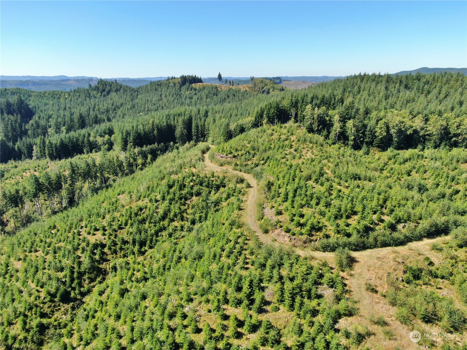 -off Of Lund Road Cosmopolis, WA 98537 - Photo 16 of 16