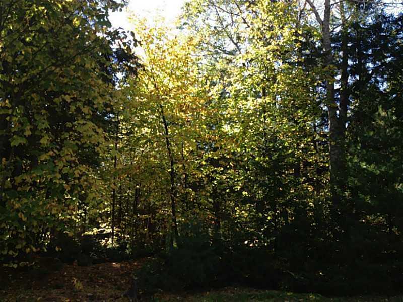 101 Pretty Marsh Road Mount Desert, ME 04660 - Photo 22 of 23 Land/Lot. Crisp days on Pretty Marsh...