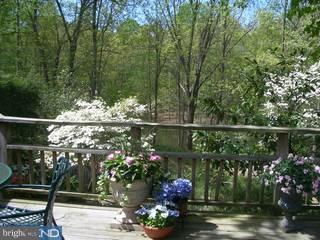 10 Ringfield Road Chadds Ford, PA 19317 - Photo 5 of 6 Gallery Image 5