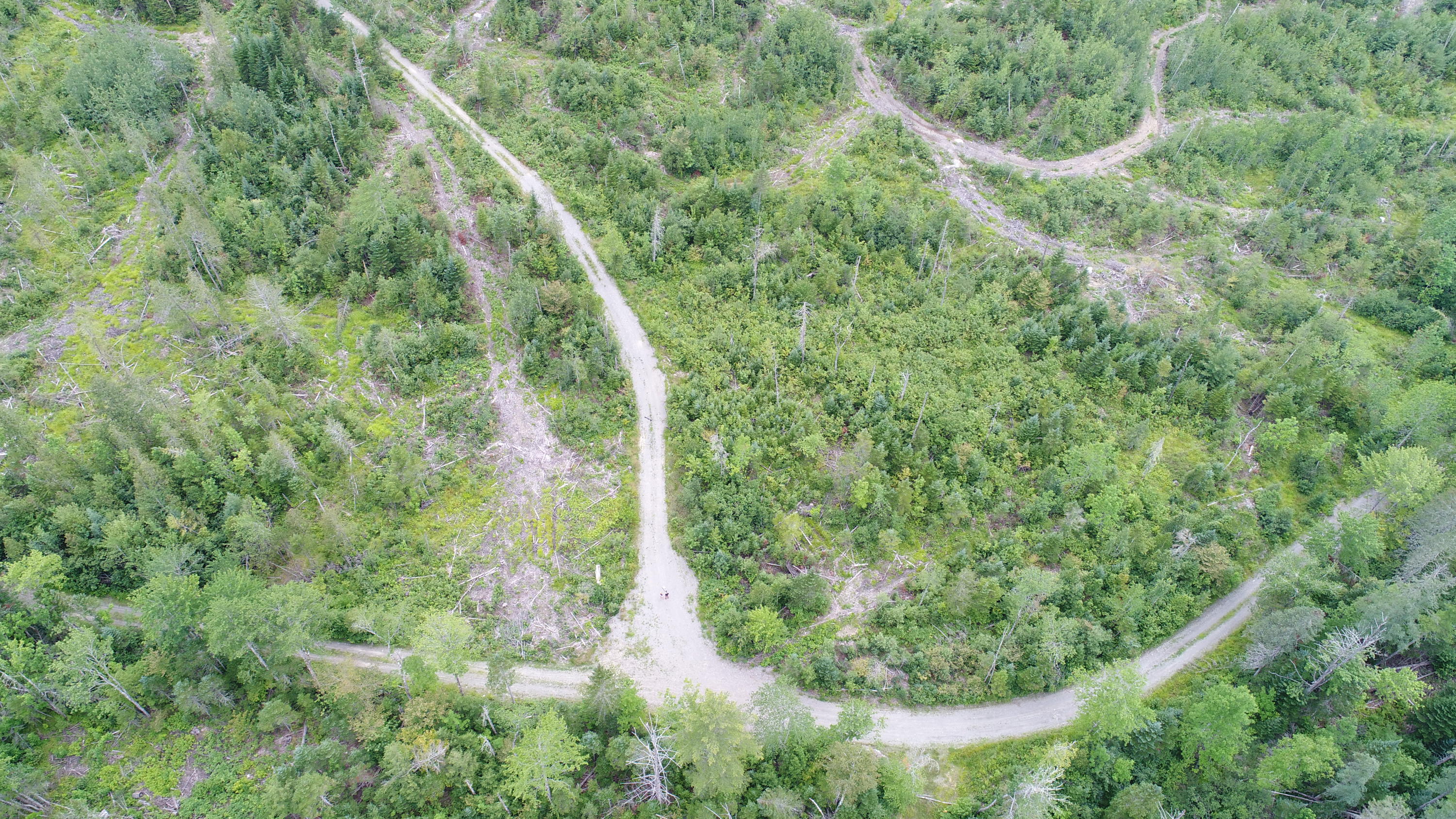 Tbd McCarty Road Solon, ME 04979 - Photo 2 of 17 DJI_0103