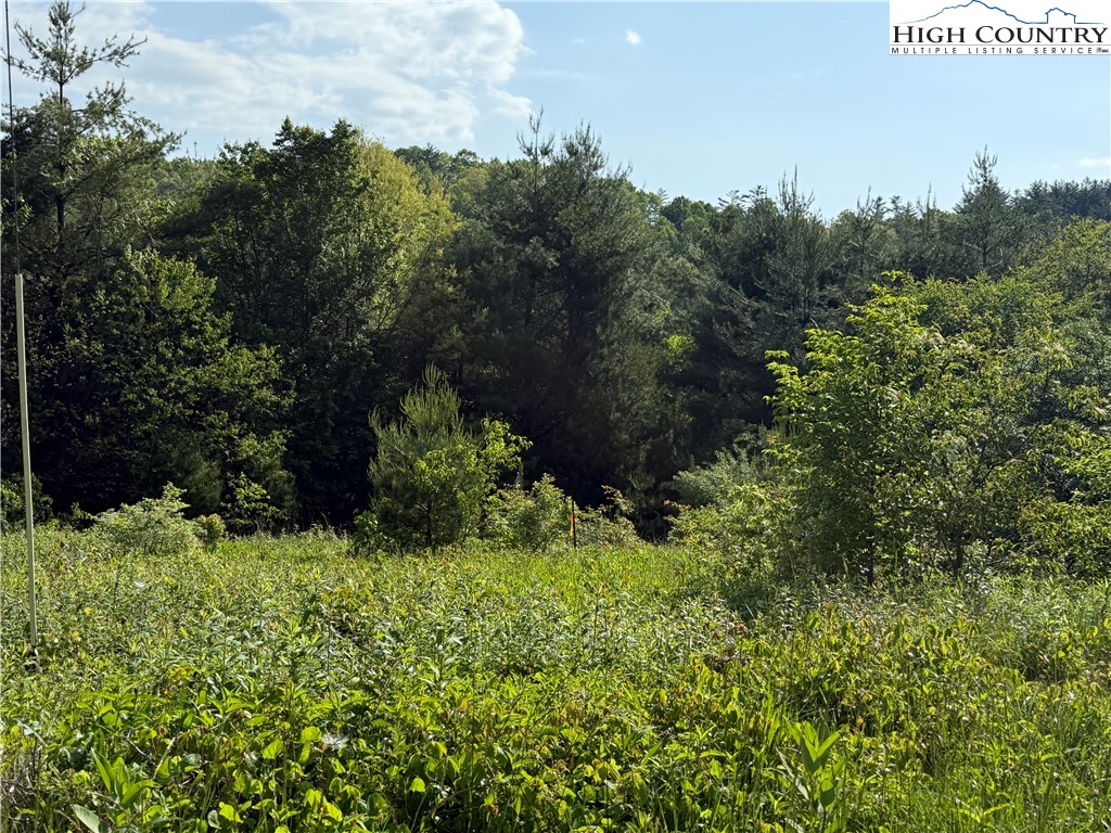 Holly Ridge Road West Jefferson, NC 28694 - Photo 1 of 14 Gallery Image 1