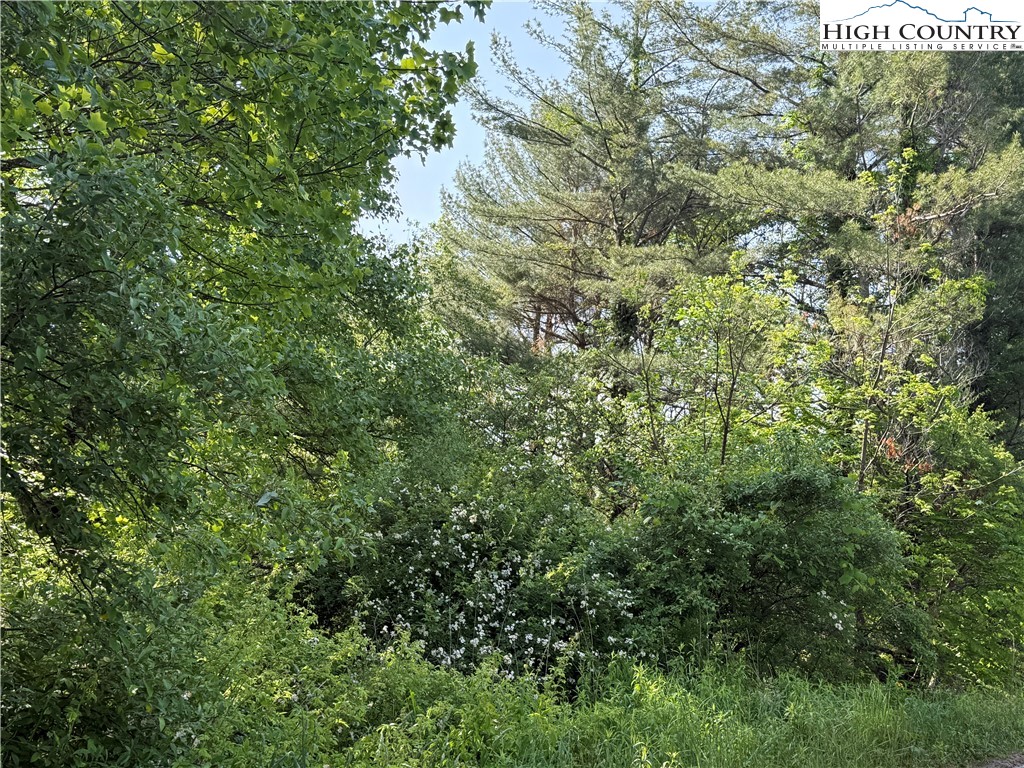 Holly Ridge Road West Jefferson, NC 28694 - Photo 11 of 14 Gallery Image 11