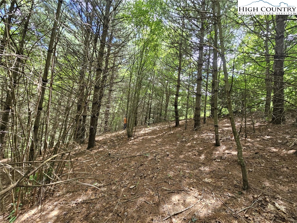 Holly Ridge Road West Jefferson, NC 28694 - Photo 13 of 14 Gallery Image 13