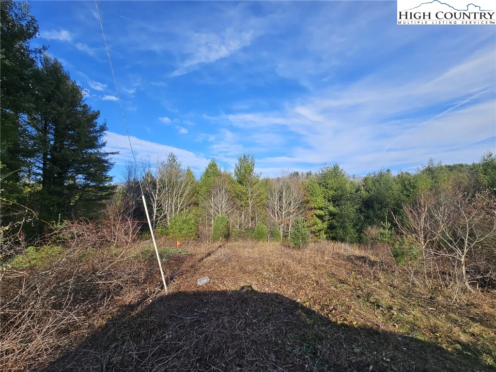 Holly Ridge Road West Jefferson, NC 28694 - Photo 14 of 14 Gallery Image 14