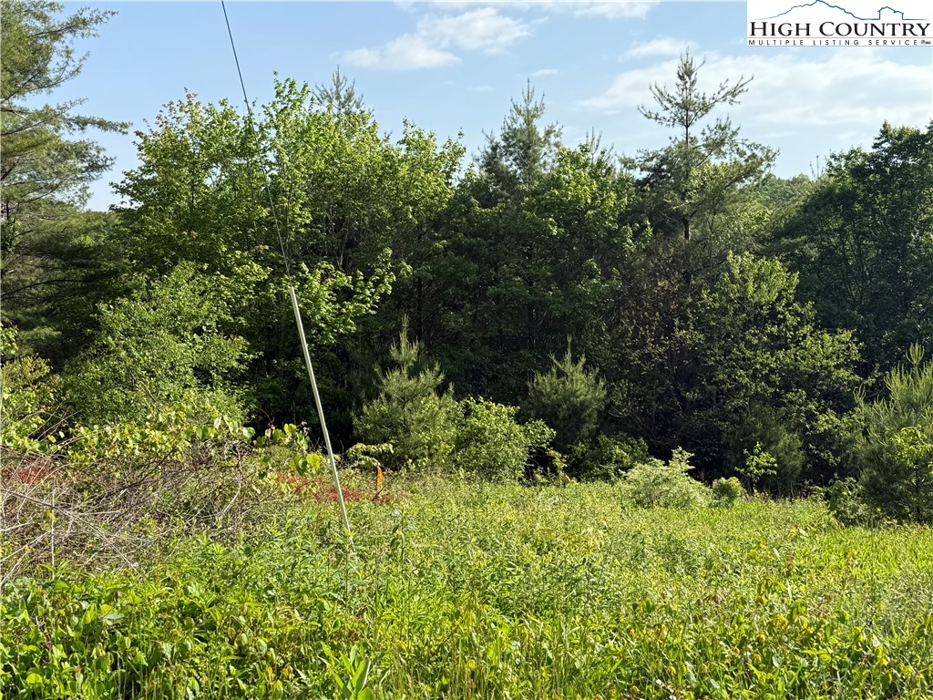 Holly Ridge Road West Jefferson, NC 28694 - Photo 7 of 14 Gallery Image 7
