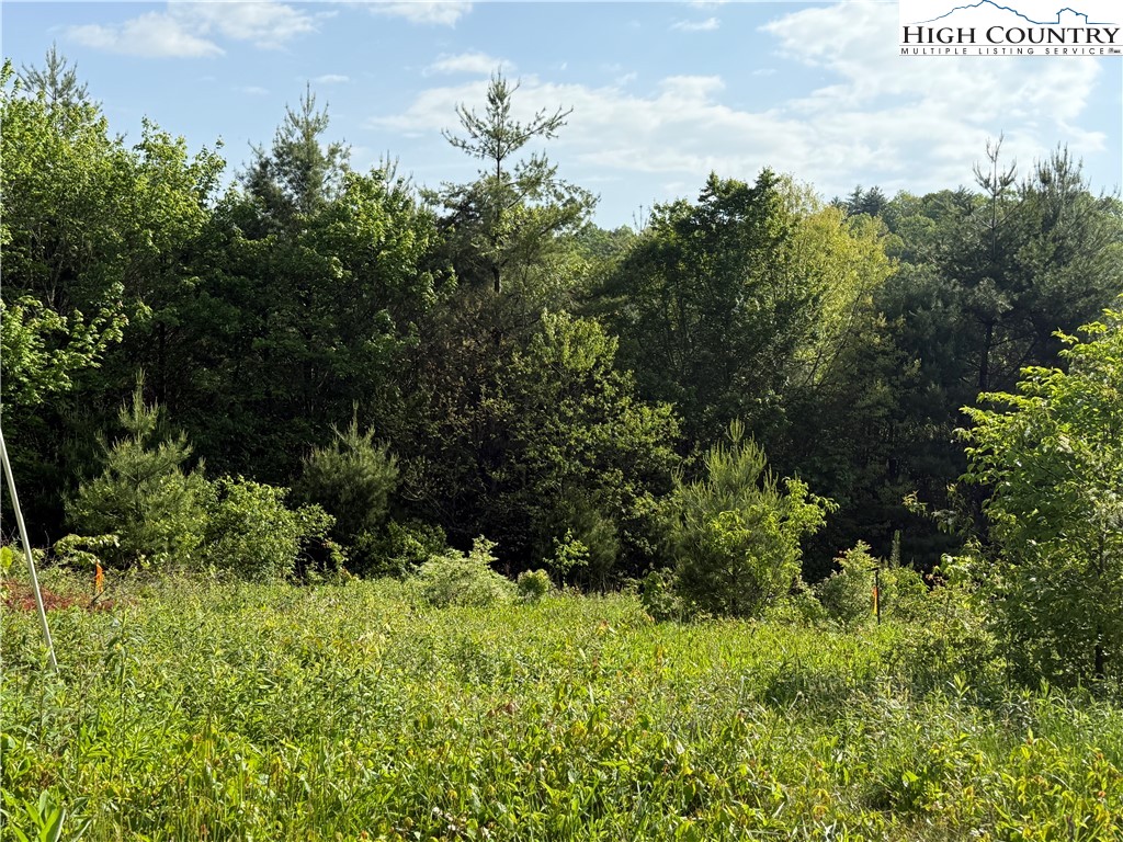 Holly Ridge Road West Jefferson, NC 28694 - Photo 9 of 14 Gallery Image 9