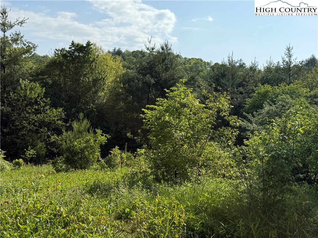 Holly Ridge Road West Jefferson, NC 28694 - Photo 10 of 14 Gallery Image 10