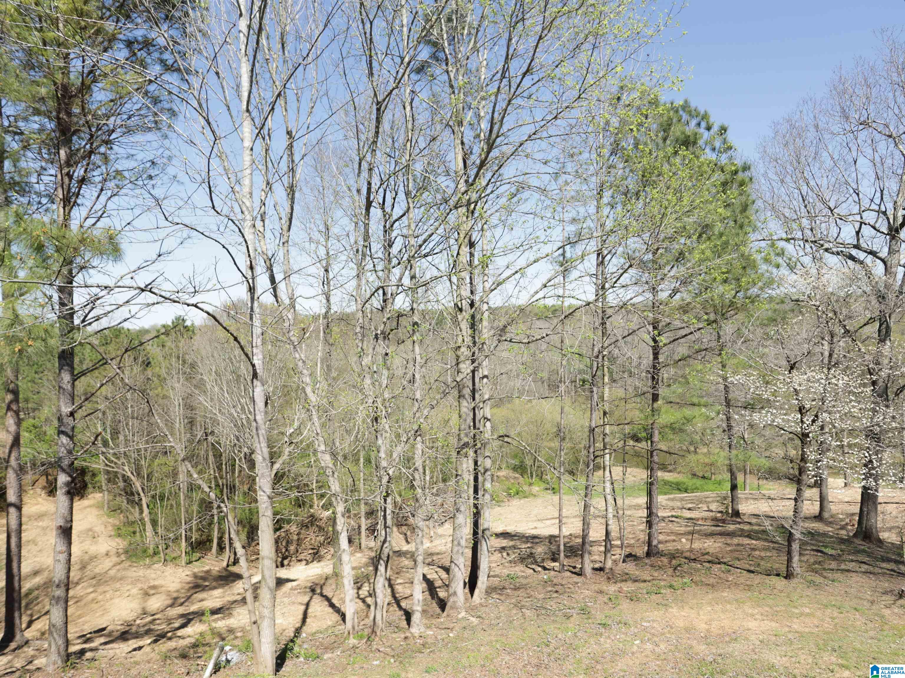 879 Timmerman Road Blountsville, AL 35031 - Photo 57 of 72
