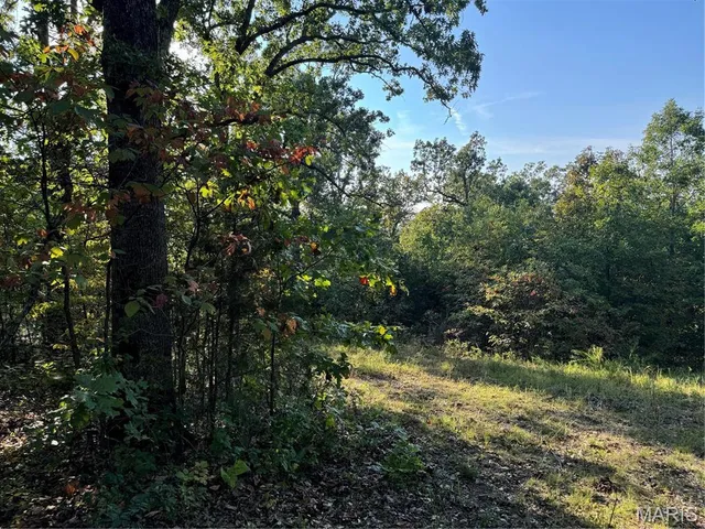 $28,000 | 0 Lot 6b Lakeview Drive, Perryville, MO 63775