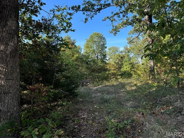 $28,000 | 0 Lot 6b Lakeview Drive, Perryville, MO 63775