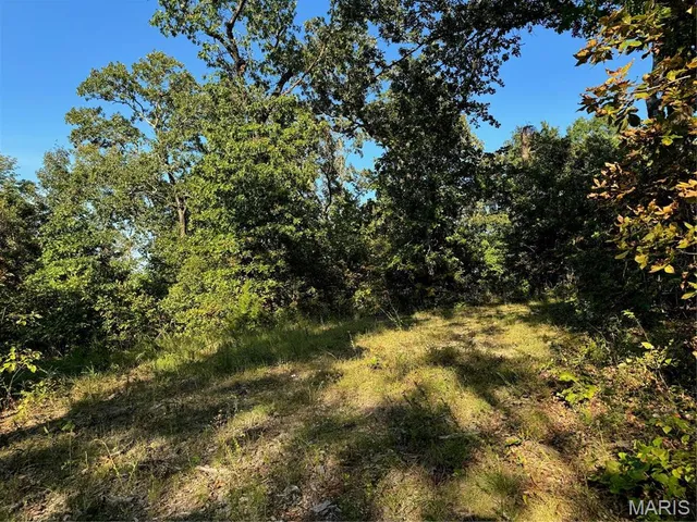 $28,000 | 0 Lot 6b Lakeview Drive, Perryville, MO 63775