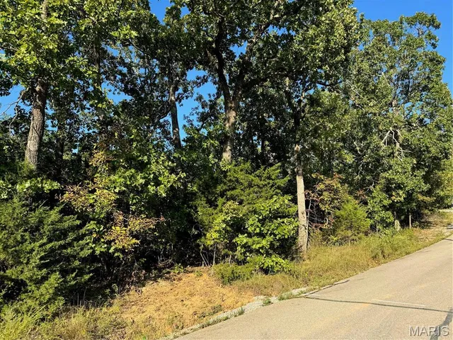 $28,000 | 0 Lot 6b Lakeview Drive, Perryville, MO 63775