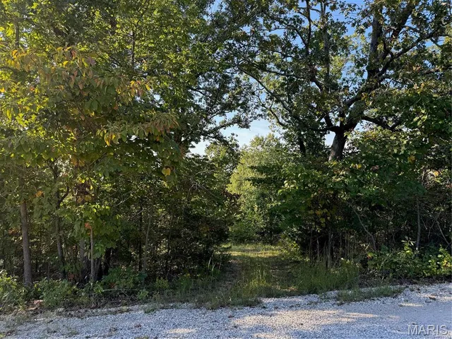 $28,000 | 0 Lot 6b Lakeview Drive, Perryville, MO 63775