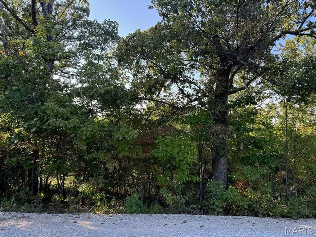 $28,000 | 0 Lot 6b Lakeview Drive, Perryville, MO 63775