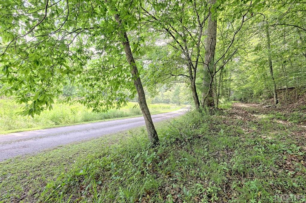 1222 Shope Road Otto, NC 28763 - Photo 35 of 57 Gallery Image 35