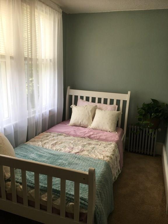 19 Craig Street Springfield, MA 01108 - Photo 28 of 36