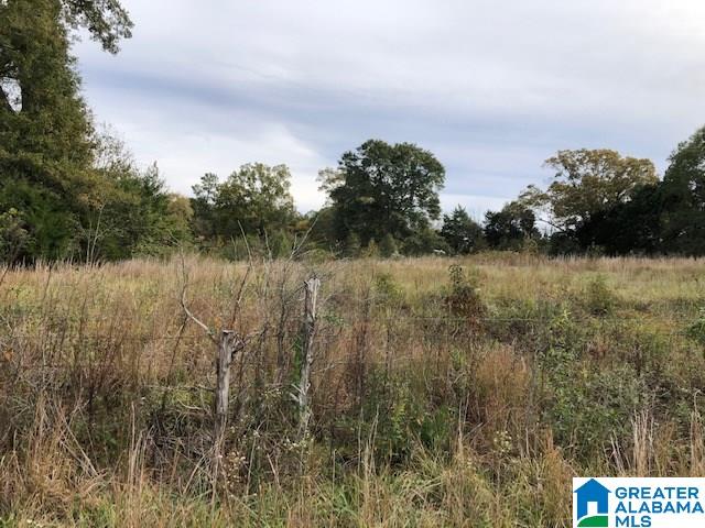 0 Hackney Street, Unit 8 29 ACRES Lincoln, AL 35096 - Photo 1 of 18