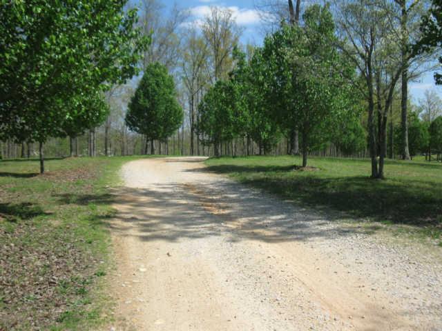 142 Potts Road Hohenwald, TN 38462 - Photo 15 of 20 Gallery Image 15