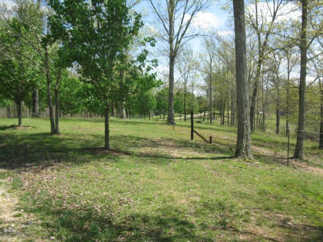 142 Potts Road Hohenwald, TN 38462 - Photo 16 of 20 Gallery Image 16