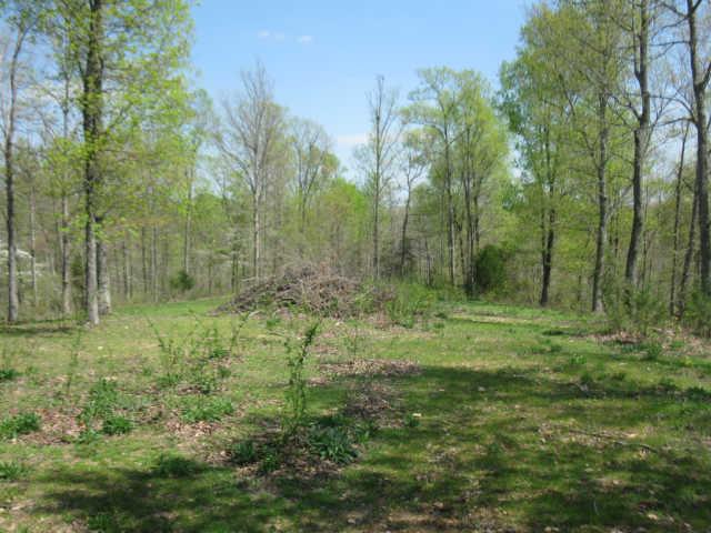 142 Potts Road Hohenwald, TN 38462 - Photo 17 of 20 Gallery Image 17