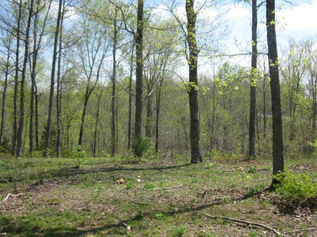 142 Potts Road Hohenwald, TN 38462 - Photo 18 of 20 Gallery Image 18