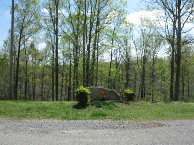 142 Potts Road Hohenwald, TN 38462 - Photo 19 of 20 Gallery Image 19