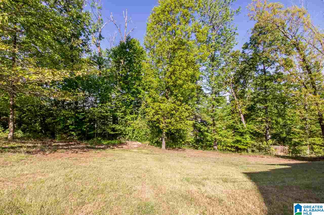 247 Timber Ridge Circle Alabaster, AL 35007 - Photo 50 of 50