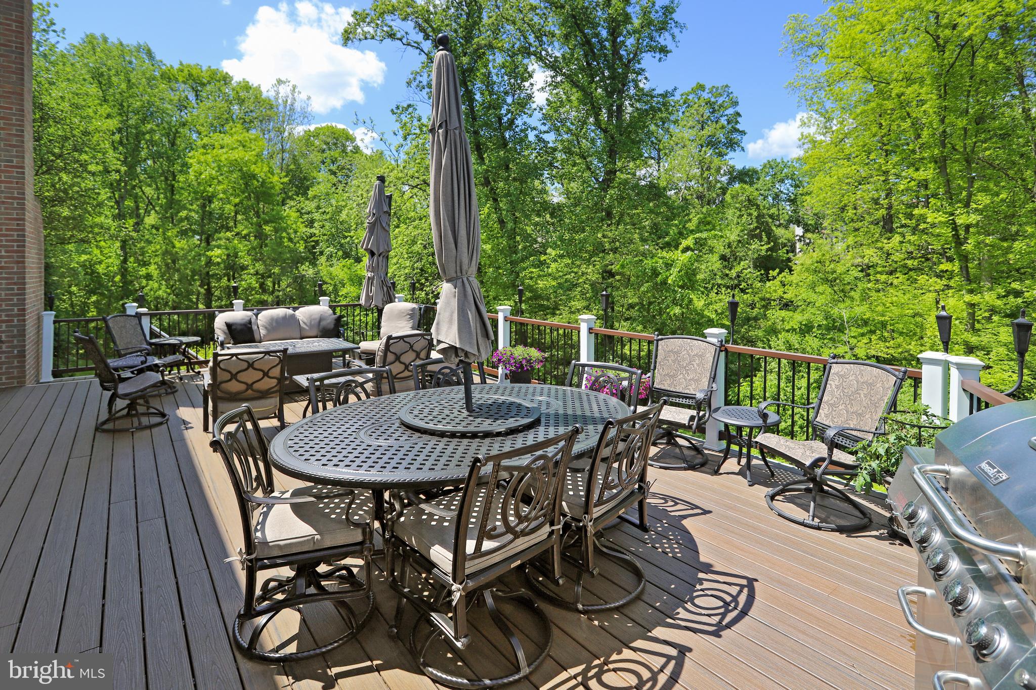 2908 Pleasant Glen Drive Oak Hill, VA 20171 - Photo 20 of 69 HUGE Low-Maintenance Rear TREX Deck