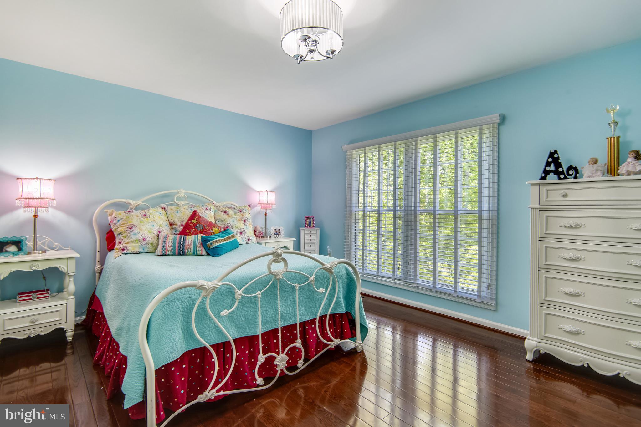 2908 Pleasant Glen Drive Oak Hill, VA 20171 - Photo 43 of 69 Bedroom 2 with Decorative Overhead Light
