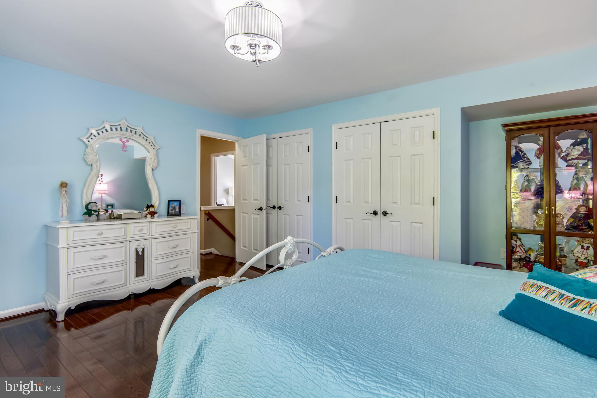 2908 Pleasant Glen Drive Oak Hill, VA 20171 - Photo 44 of 69 Bedroom 2 with Decorative Overhead Light