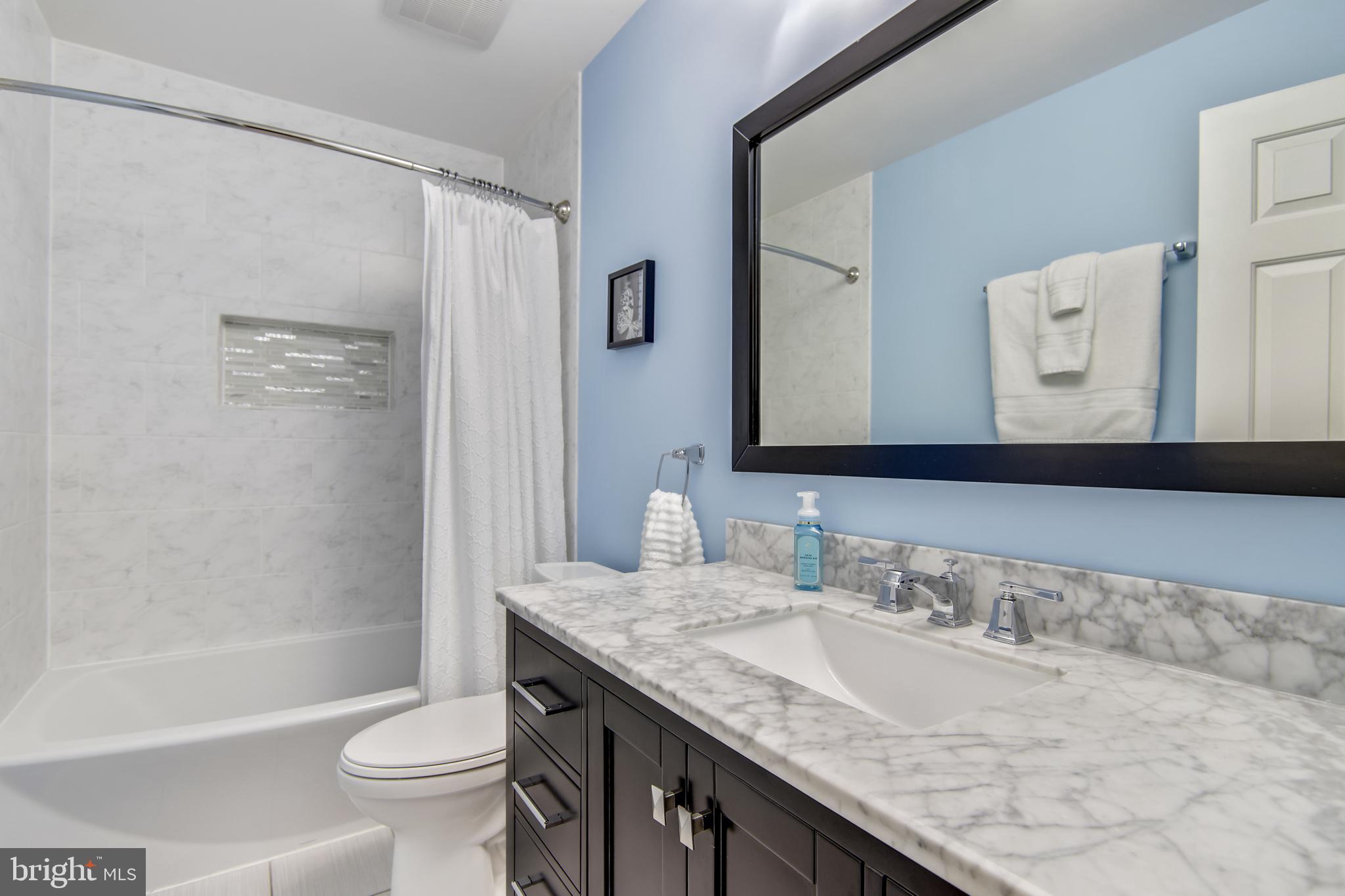 2908 Pleasant Glen Drive Oak Hill, VA 20171 - Photo 49 of 69 Upper Level UPDATED Hall Bath