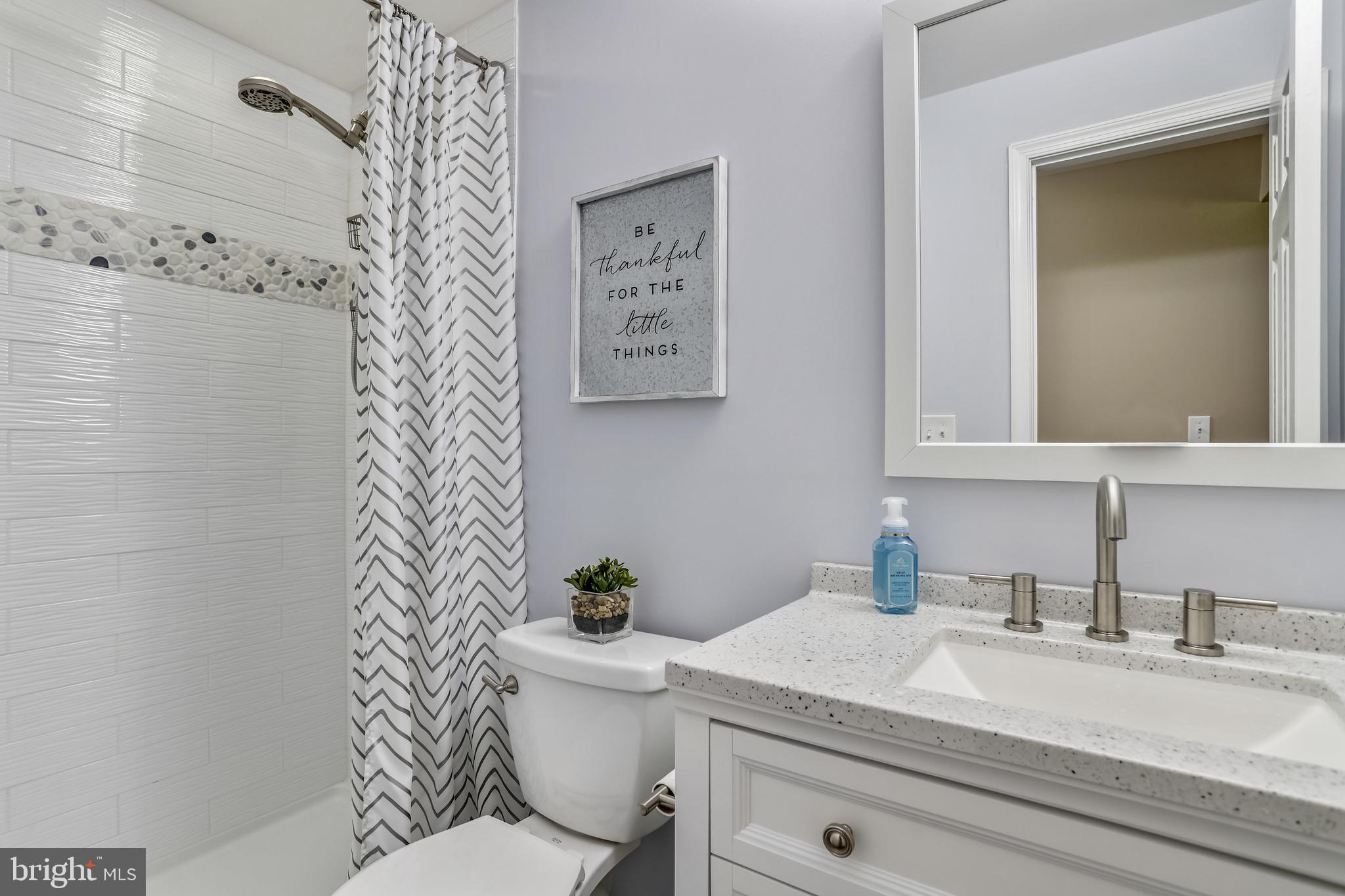 2908 Pleasant Glen Drive Oak Hill, VA 20171 - Photo 60 of 69 Upgrade Lower Level 3rd FULL BATH!