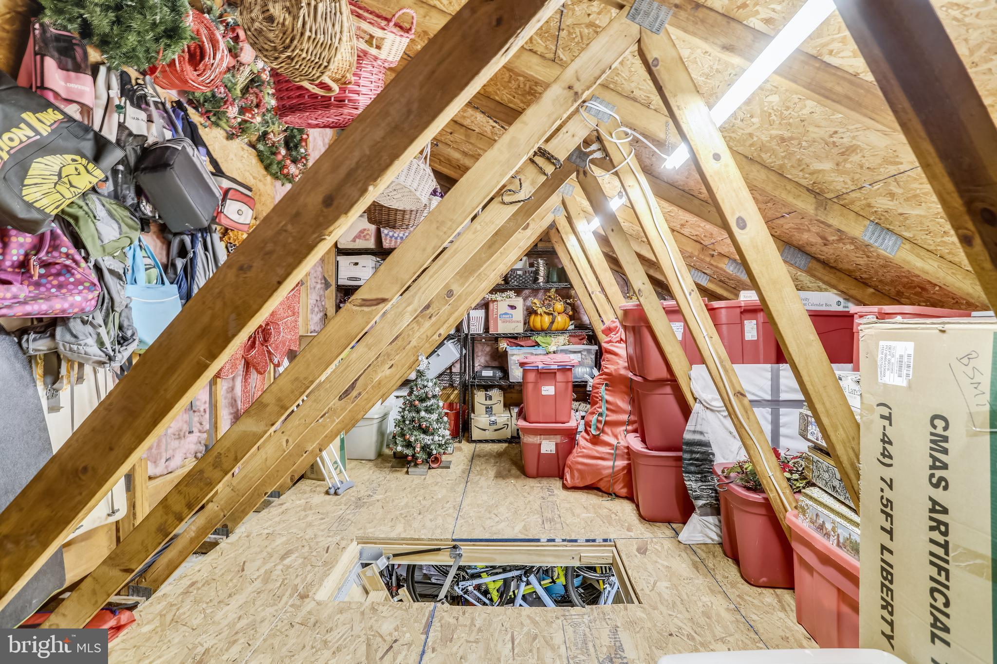 2908 Pleasant Glen Drive Oak Hill, VA 20171 - Photo 67 of 69 BONUS Over Garage Attic Storage Space!