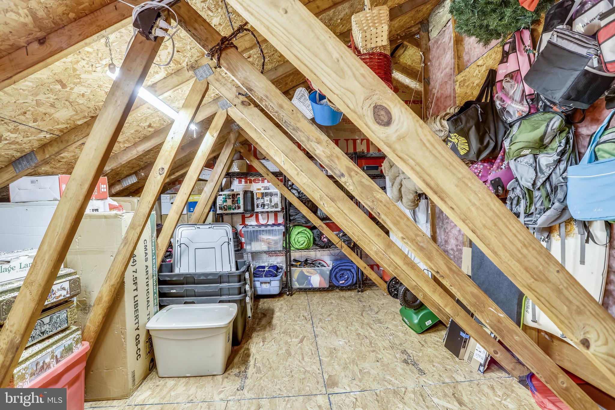 2908 Pleasant Glen Drive Oak Hill, VA 20171 - Photo 68 of 69 BONUS Over Garage Attic Storage Space!