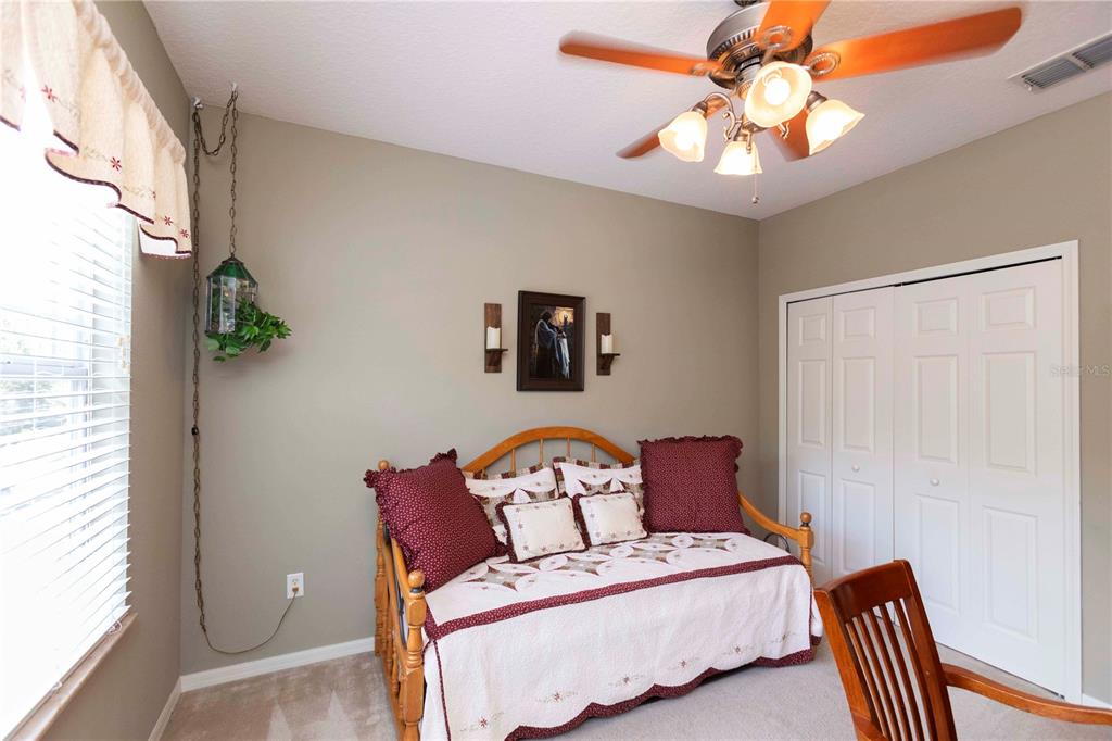 3746 Dogtrot Street New Port Richey, FL 34655 - Photo 28 of 50