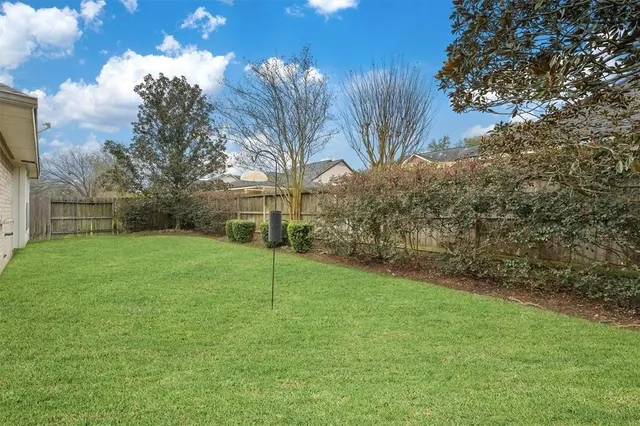 a view of a field with a tree