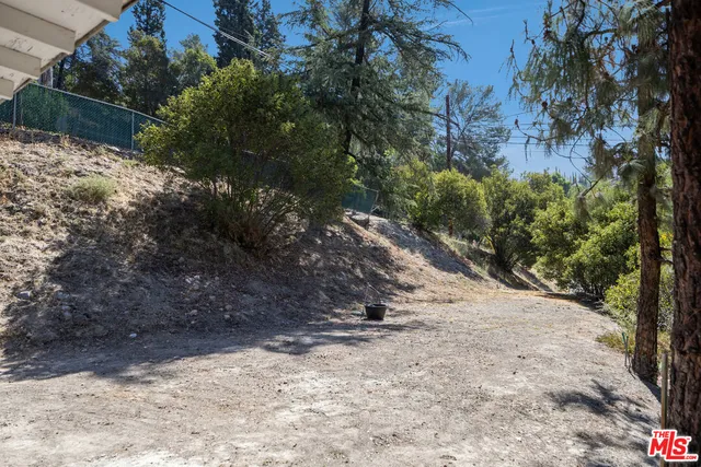 a view of a yard with plants and trees