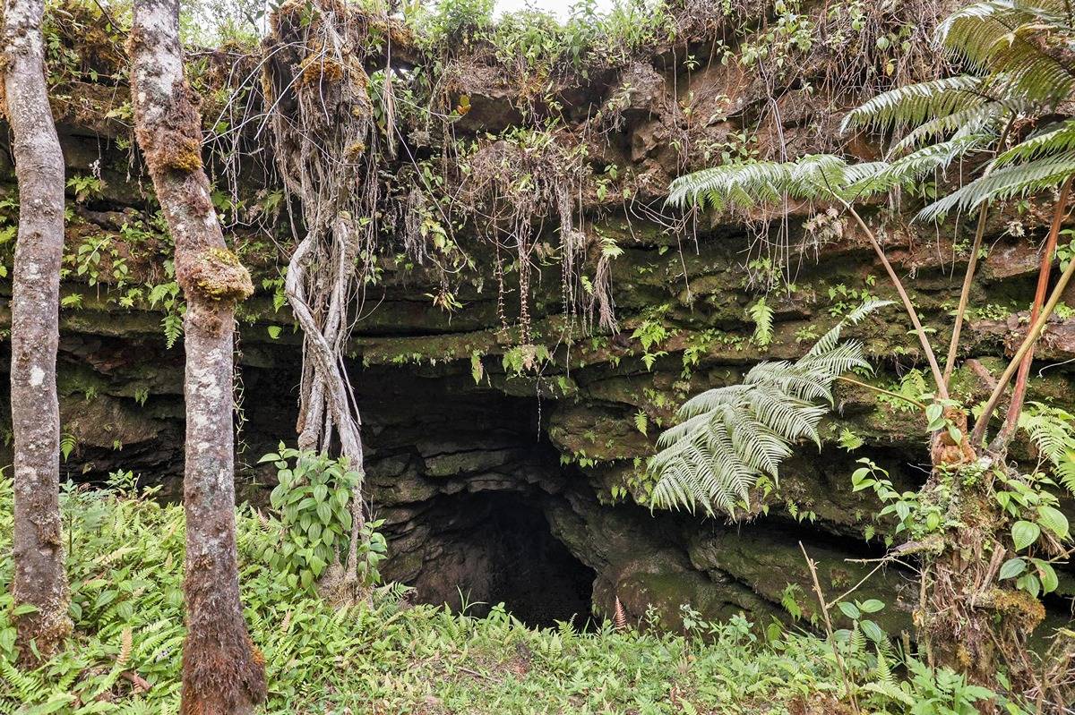 16-1585 Hopue Road, Unit 2 Mountain View, HI 96771 - Photo 2 of 29 a backyard of a house with a yard of plant and outdoor seating