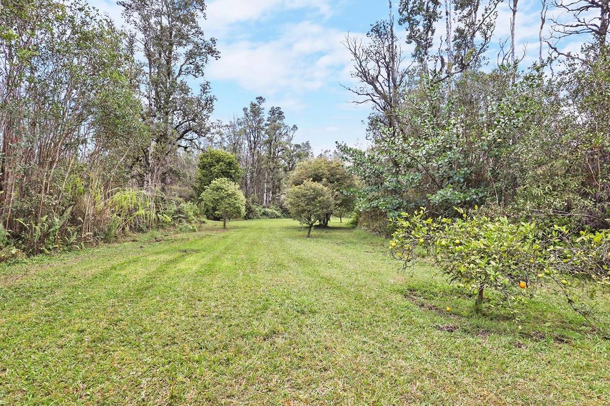 16-1585 Hopue Road, Unit 2 Mountain View, HI 96771 - Photo 24 of 29 a view of yard with green space