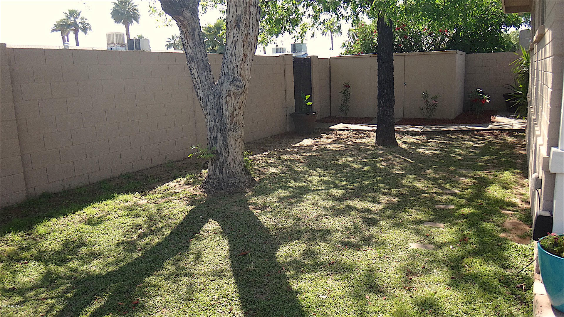 4311 East Osborn Road Phoenix, AZ 85018 - Photo 33 of 37 DSC01573