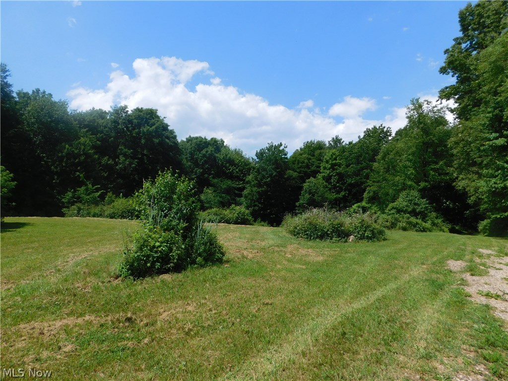 Luli Road Mogadore, OH 44260 - Photo 12 of 14