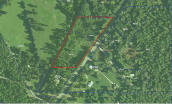 a map view of a forest